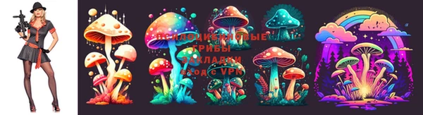 ALPHA-PVP Новодвинск
