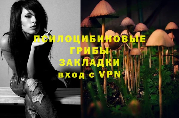 ALPHA-PVP Новодвинск