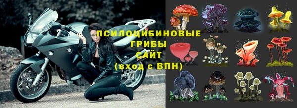 мдпв Няндома