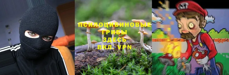 Галлюциногенные грибы Magic Shrooms  Покров 